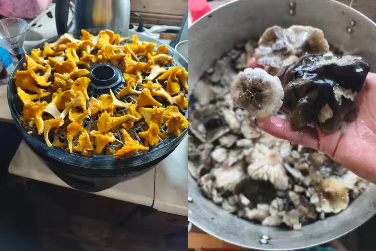  Фото Марины Куликовой из Бобруйска. 