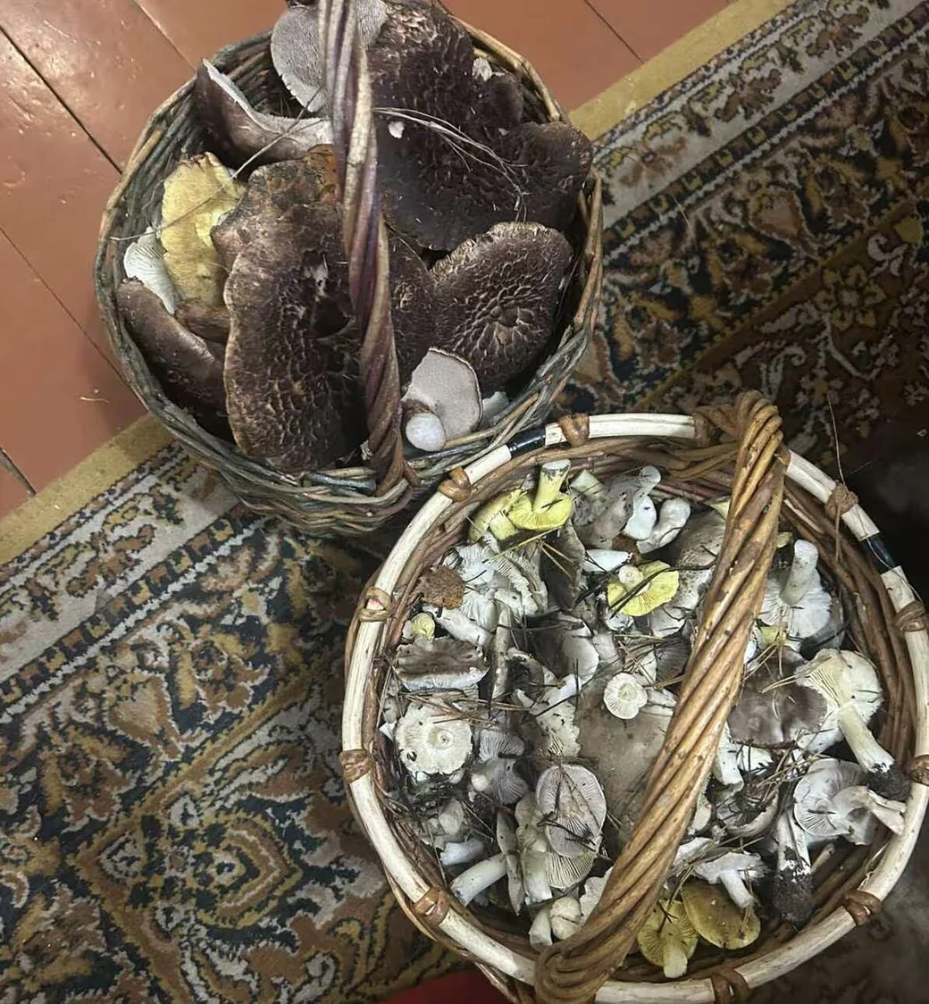  Фото Елены Должиковой из Бобруйска. 