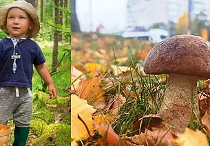 «Вышла с работы на обед, а нарвалась на грибы!» Наш грибной фотоконкурс продолжается