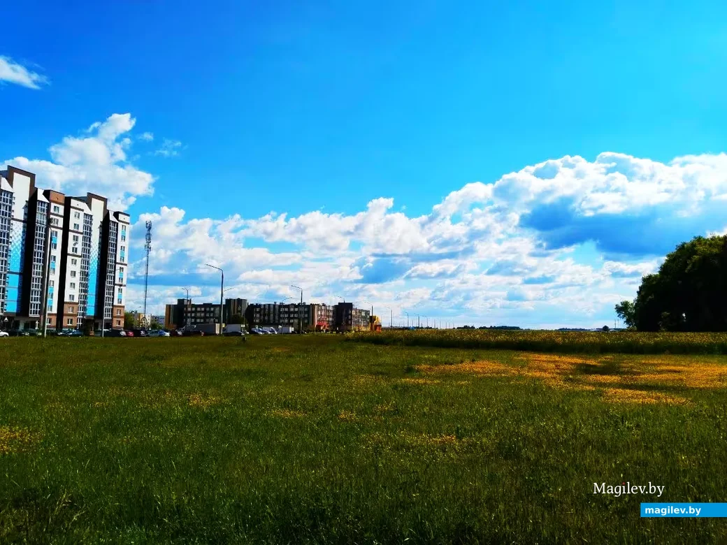  31.05.2026, Могилев, микрорайон Казимировка. 
