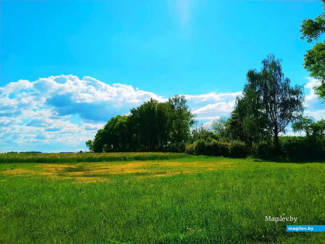  31.05.2026, Могилев, микрорайон Казимировка. 