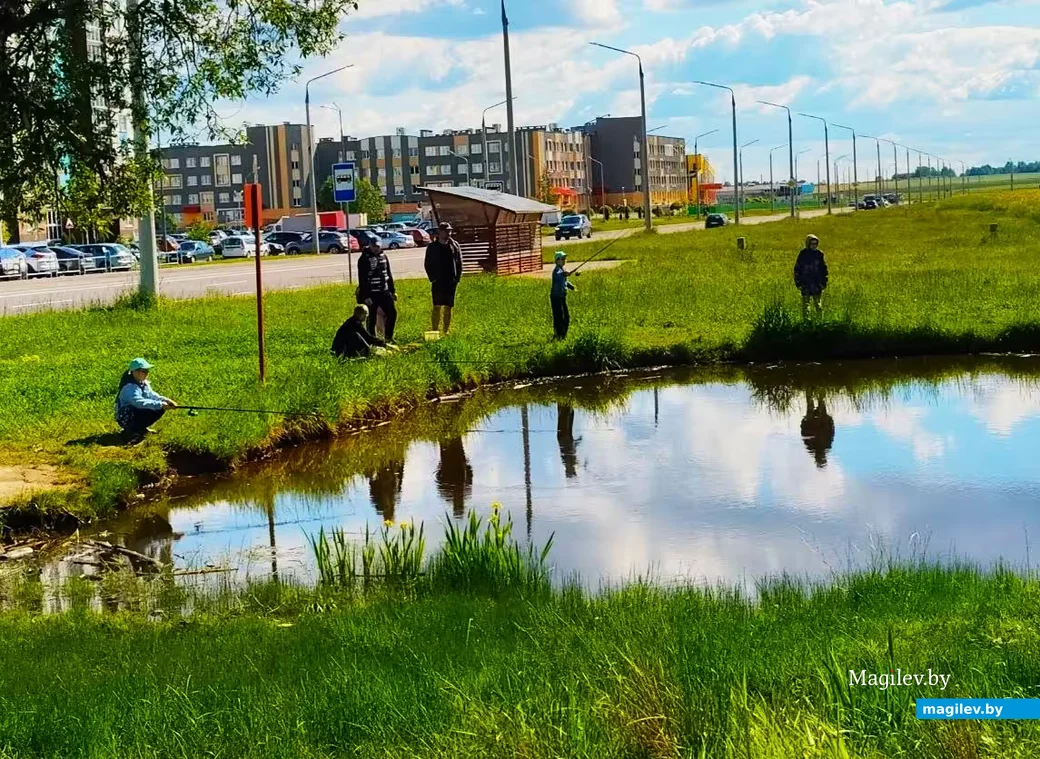  31.05.2026, Могилев, микрорайон Казимировка. 