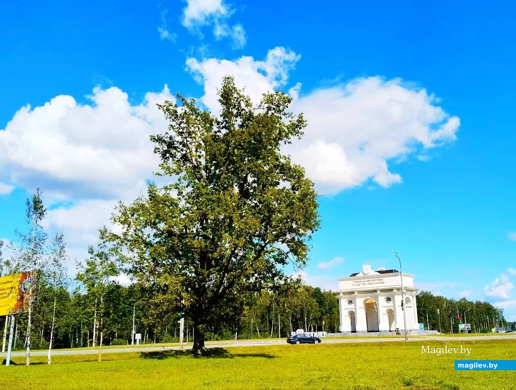 31.05.2026, Могилев, микрорайон Казимировка. 