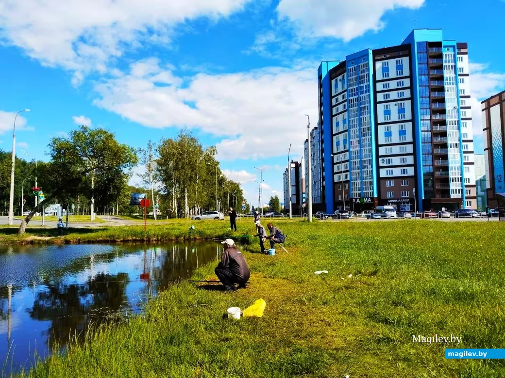  31.05.2026, Могилев, микрорайон Казимировка. 