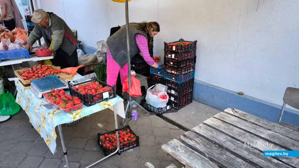  2.06.2026. Бобруйск. Рынок «На Красноармейской», начало клубничного сезона.