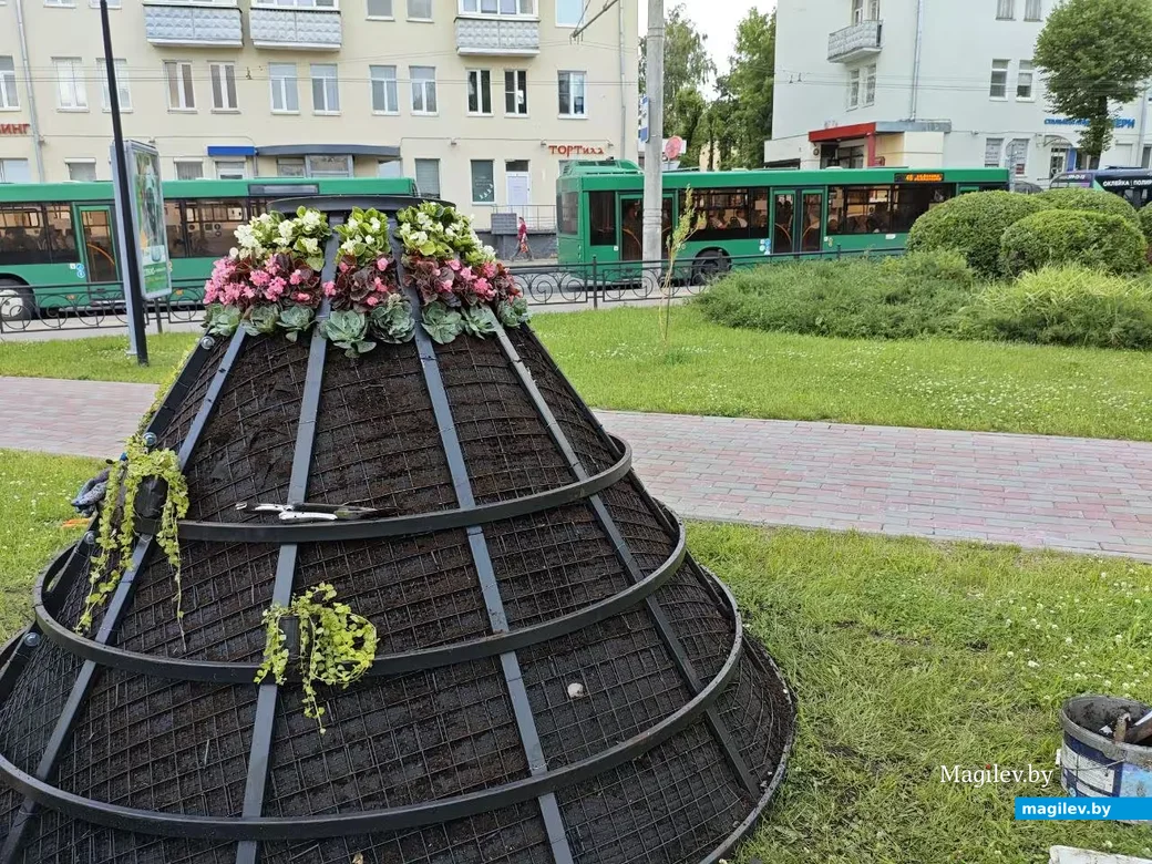 9 июня 2026 год. Могилев. Театральный сквер. Цветочные арт-объекты. Процесс создания.