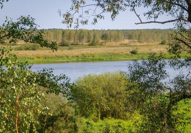 На некоторых реках Беларуси после дождей повысились уровни воды