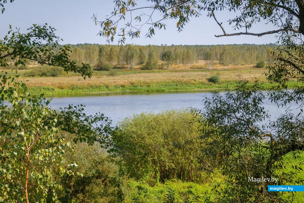 Бобруйск. Дальний форштадт. Улица Набережная. Фото: Александр Чугуев.