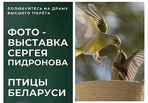 Выставка фотографа Сергея Пирогова в Могилеве