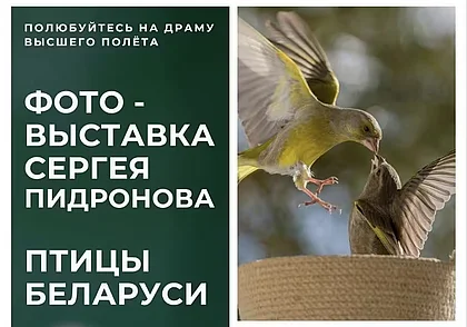 Выставка фотографа Сергея Пидронова в Могилеве