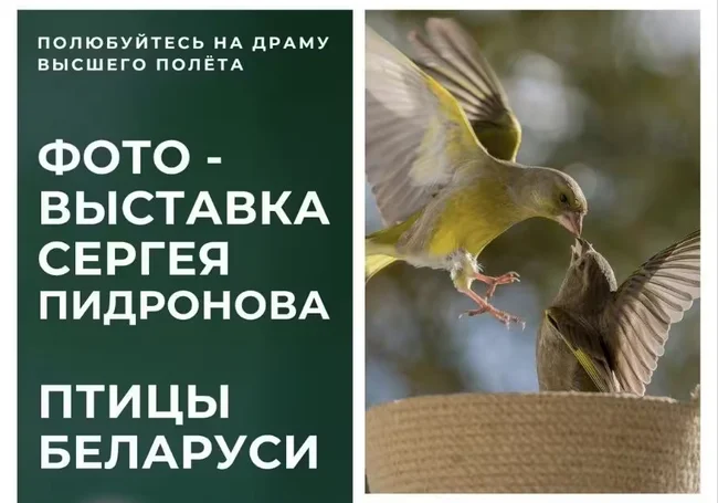 Выставка фотографа Сергея Пидронова в Могилеве