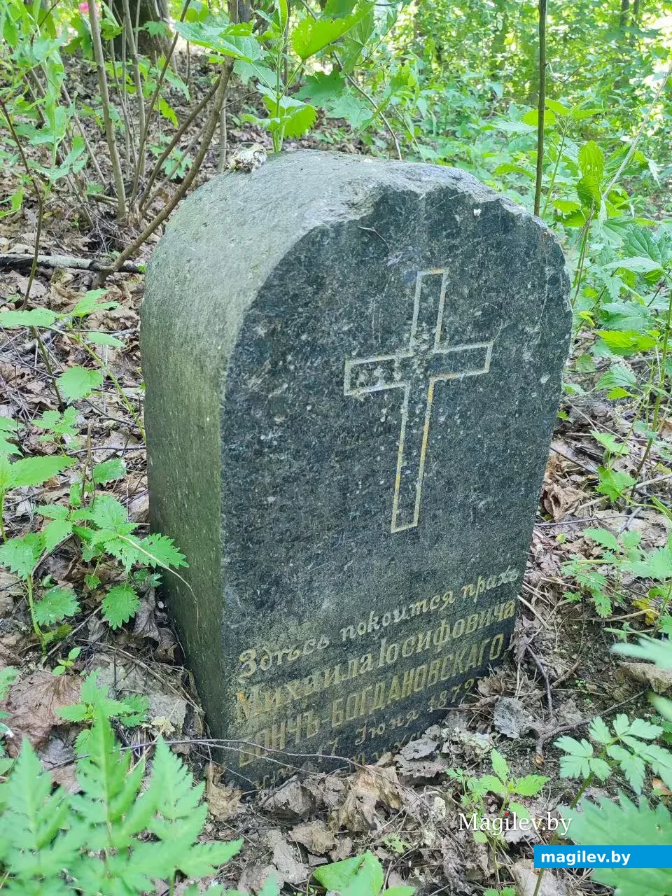 Могилевская область, Шкловский район, деревня Старая Водва. Погост у Свято-Покровской церкви.