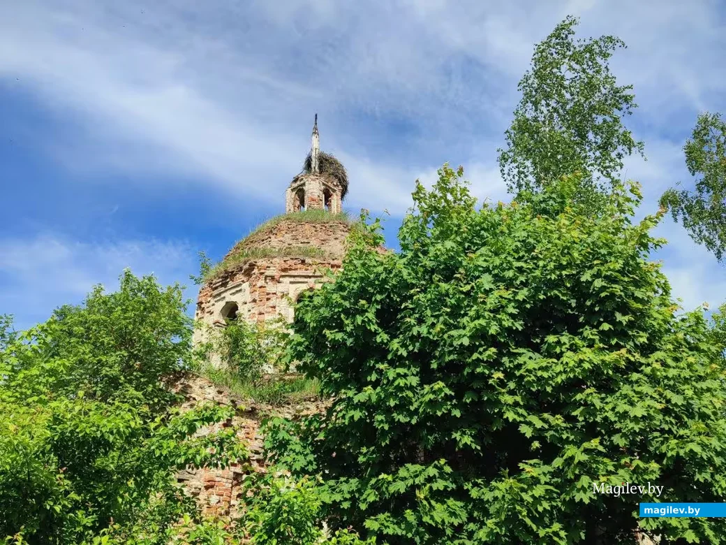  Могилевская область, Шкловский район. Свято-Покровская церковь в деревне Старая Водва.