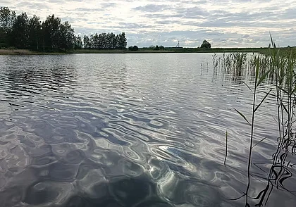 Бассейн для бобров, мини‑водопад и лебединая семья