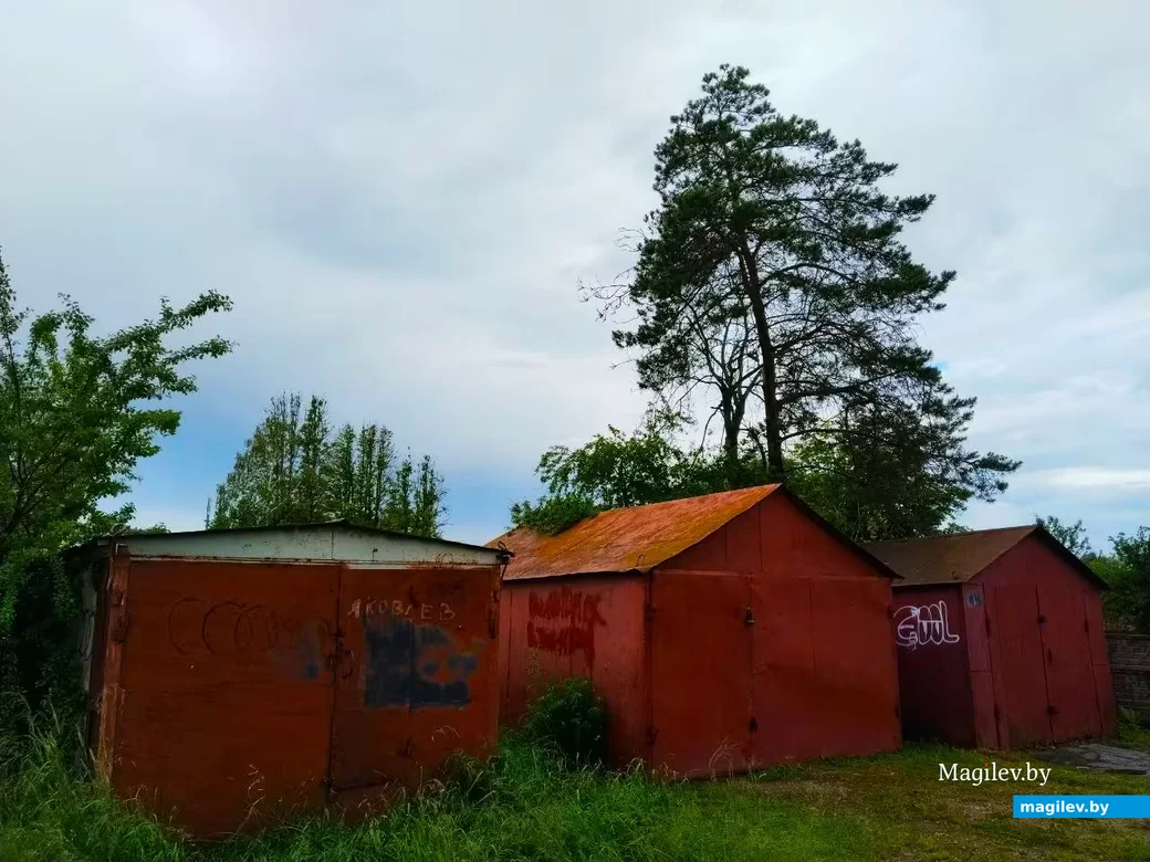 Июнь 2026, Могилев.