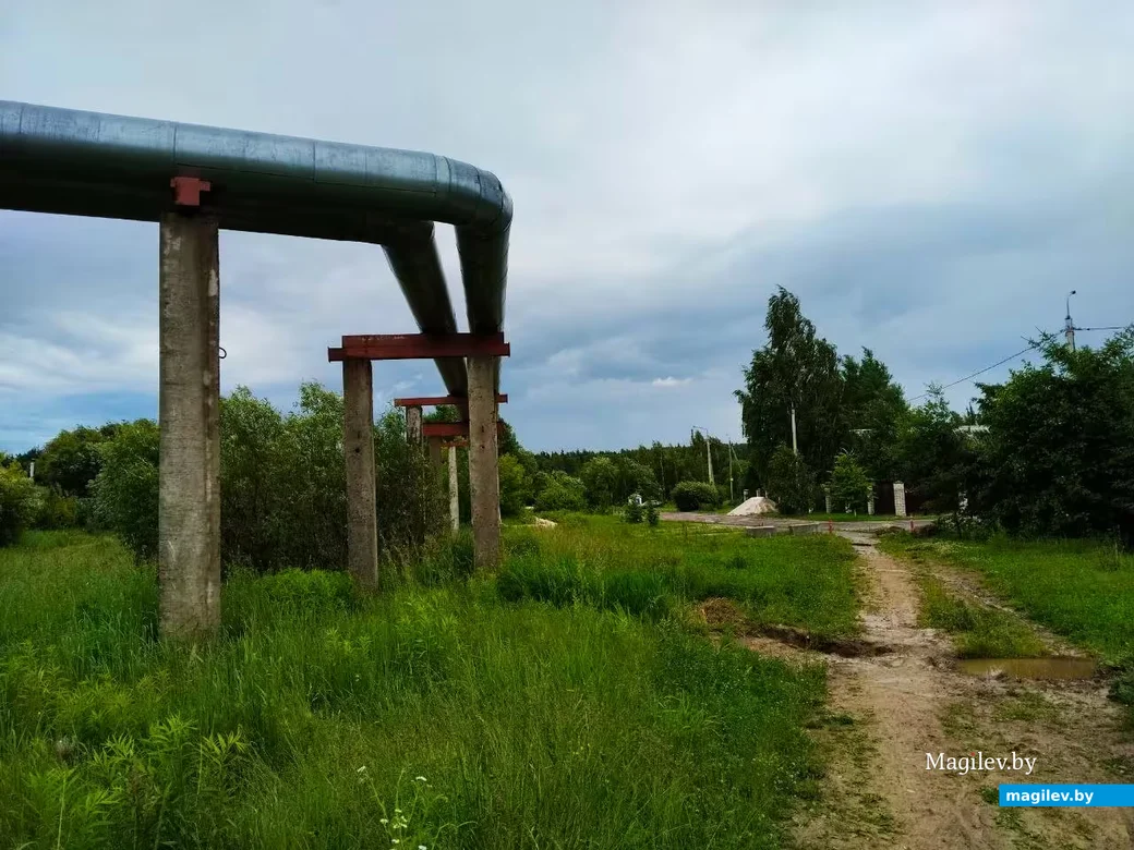 Июнь 2026, Могилев.