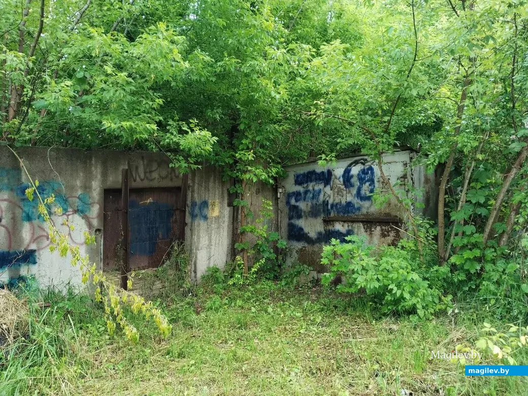 Июнь 2026, Могилев.