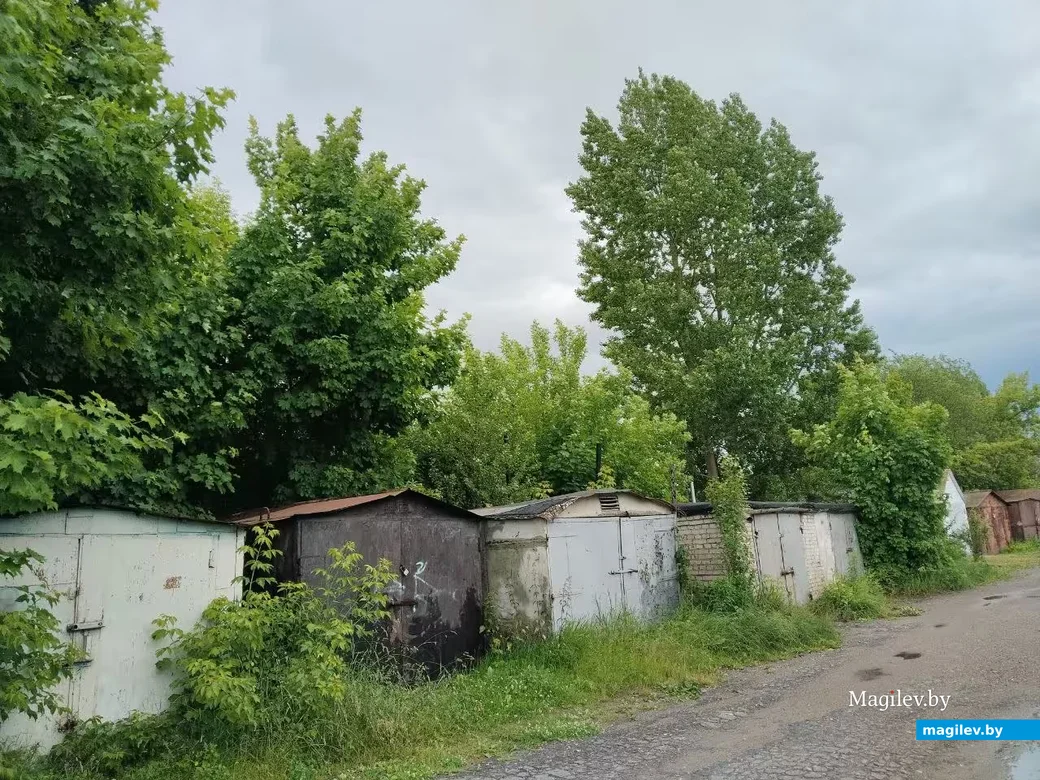 Июнь 2026, Могилев.