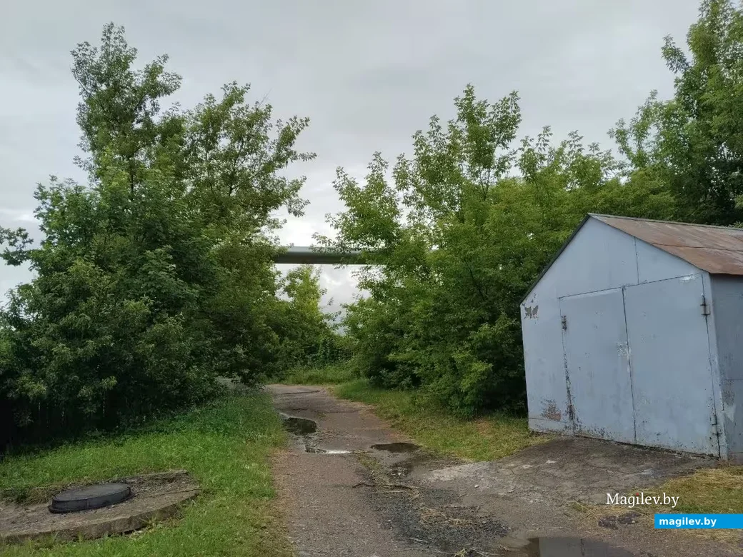 Июнь 2026, Могилев.