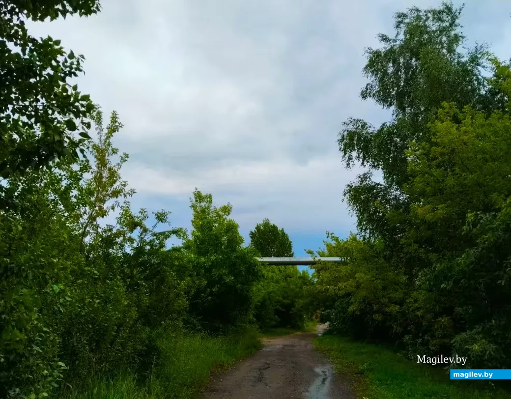 Июнь 2026, Могилев.