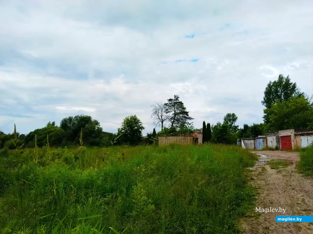 Июнь 2026, Могилев.