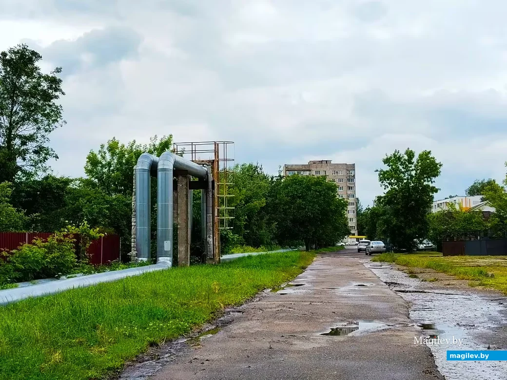 Июнь 2026, Могилев.