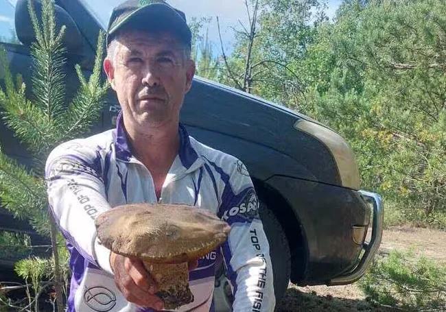 За полтора часа – 100 боровиков. Бобруйчане удивляют грибным уловом