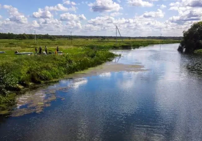 Уронила весло. Работники ОСВОДа в Осиповичском районе спасли тонувшую девушку
