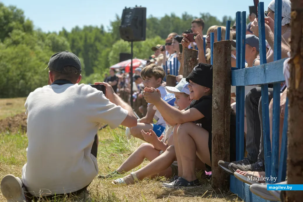 28.06.2026. Н10123, Антоновка, Сычковский сельский Совет, Бобруйский район, Могилёвская область, 213806,