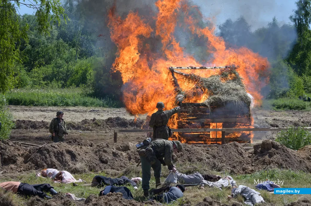 28.06.2026. Н10123, Антоновка, Сычковский сельский Совет, Бобруйский район, Могилёвская область, 213806,
