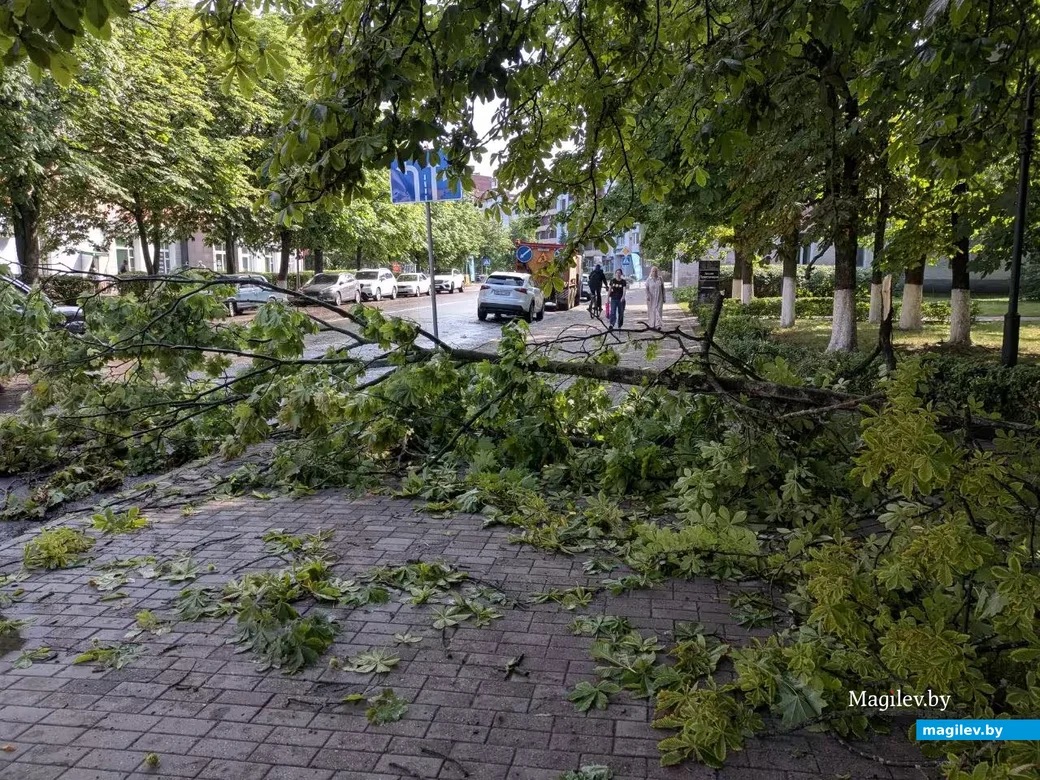  29.06.2026 г. Бобруйск