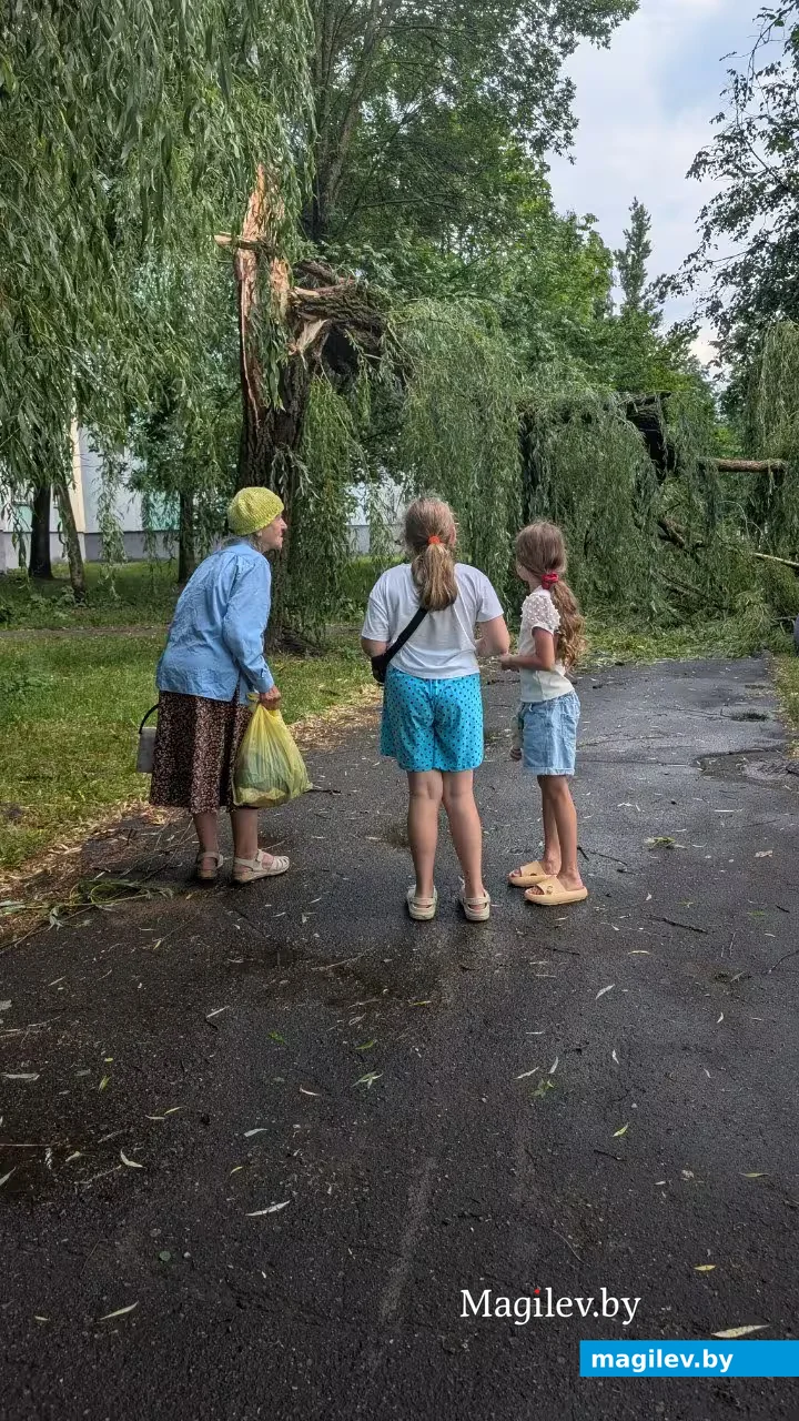 29.06.2026 г. Бобруйск 