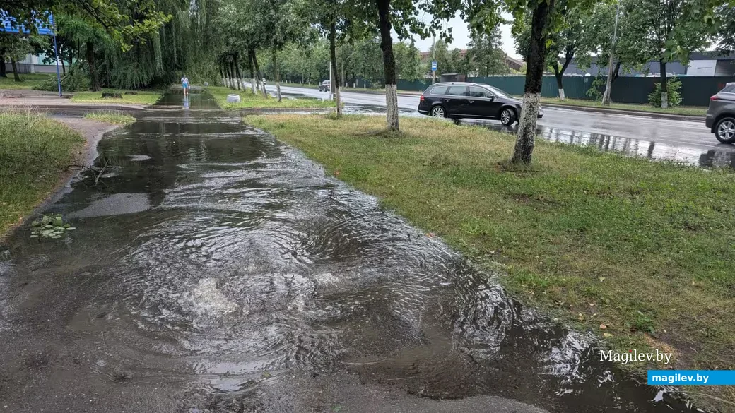 29.06.2026 г. Бобруйск 