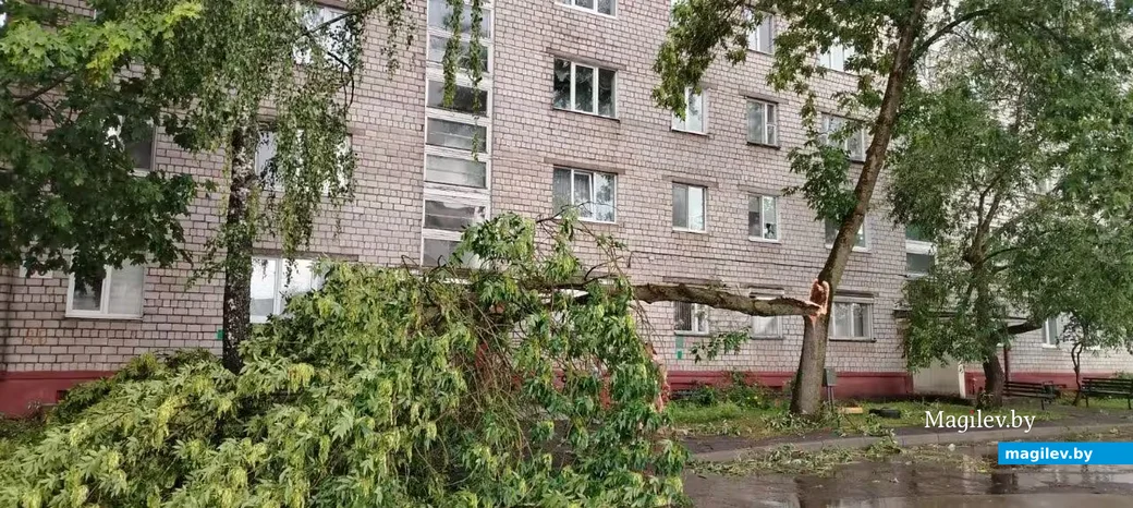  29.06.2026 г. Бобруйск