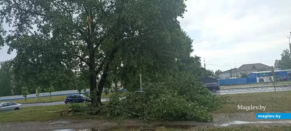 29.06.2026 г. Бобруйск 
