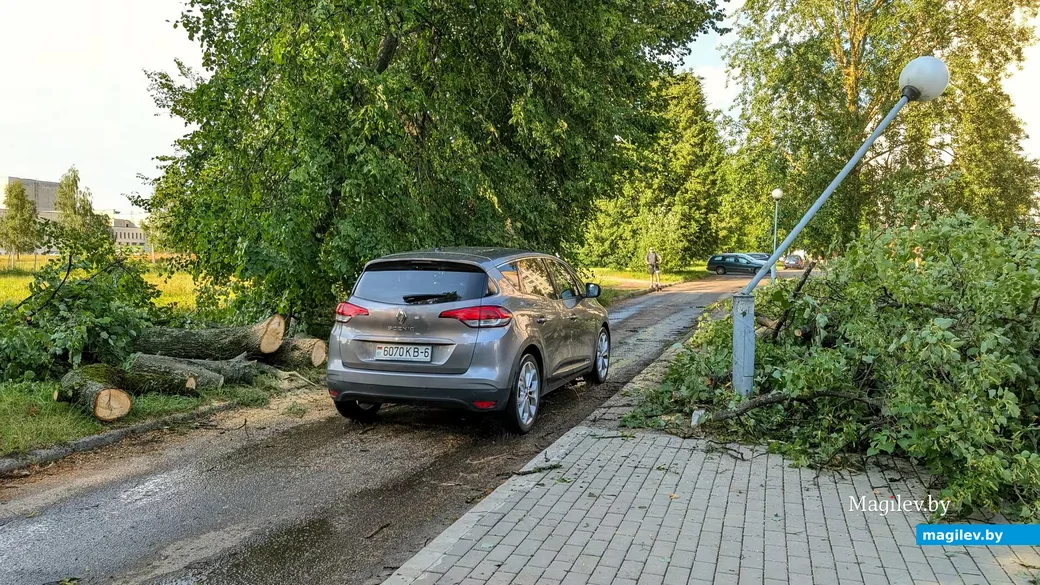  29.06.2026, Бобруйск, ул. Рокоссовского 