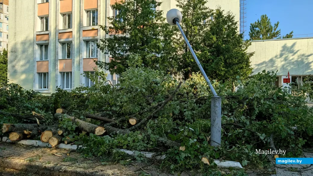  29.06.2026, Бобруйск, ул. Рокоссовского 