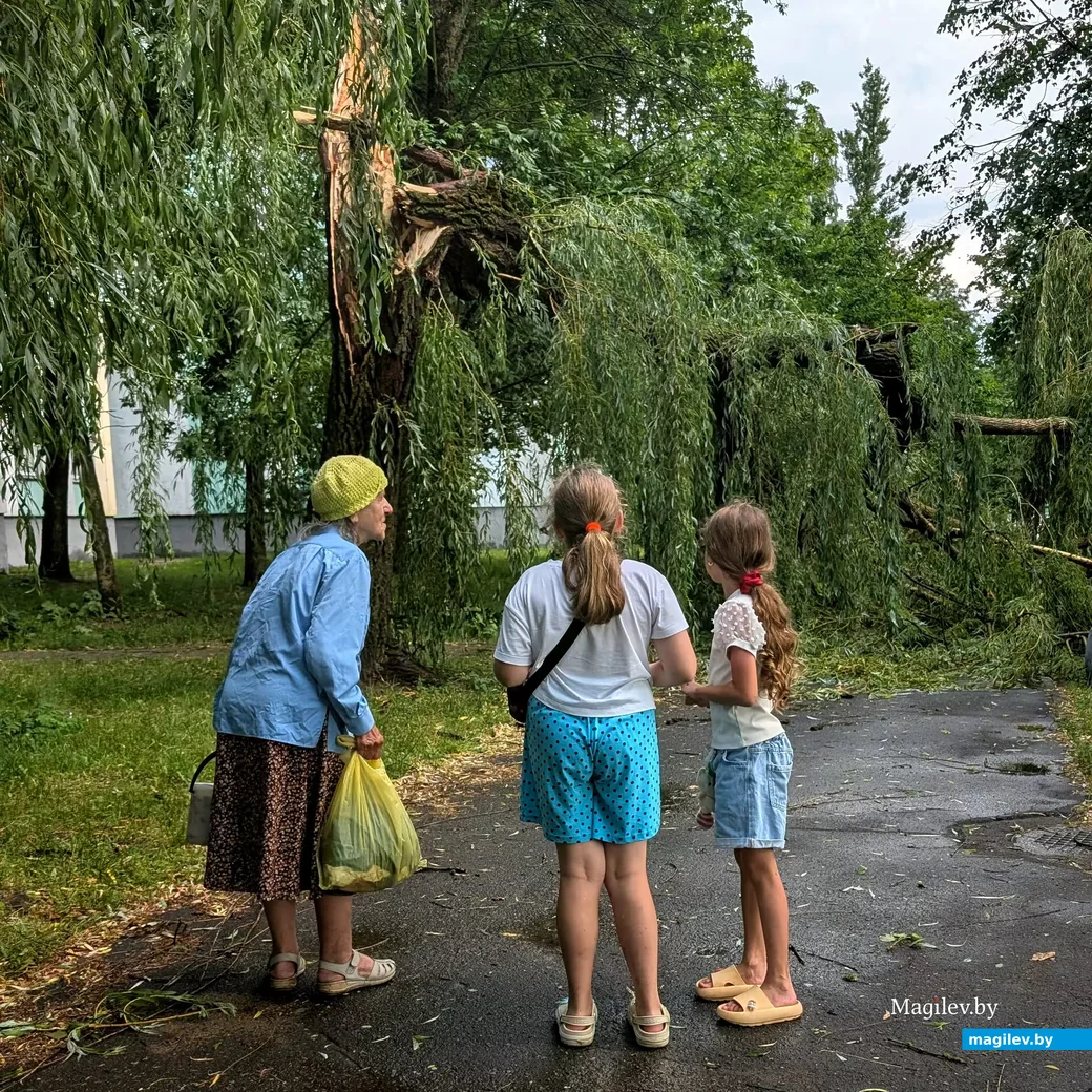  29.06.2026, Бобруйск, ул. Рокоссовского