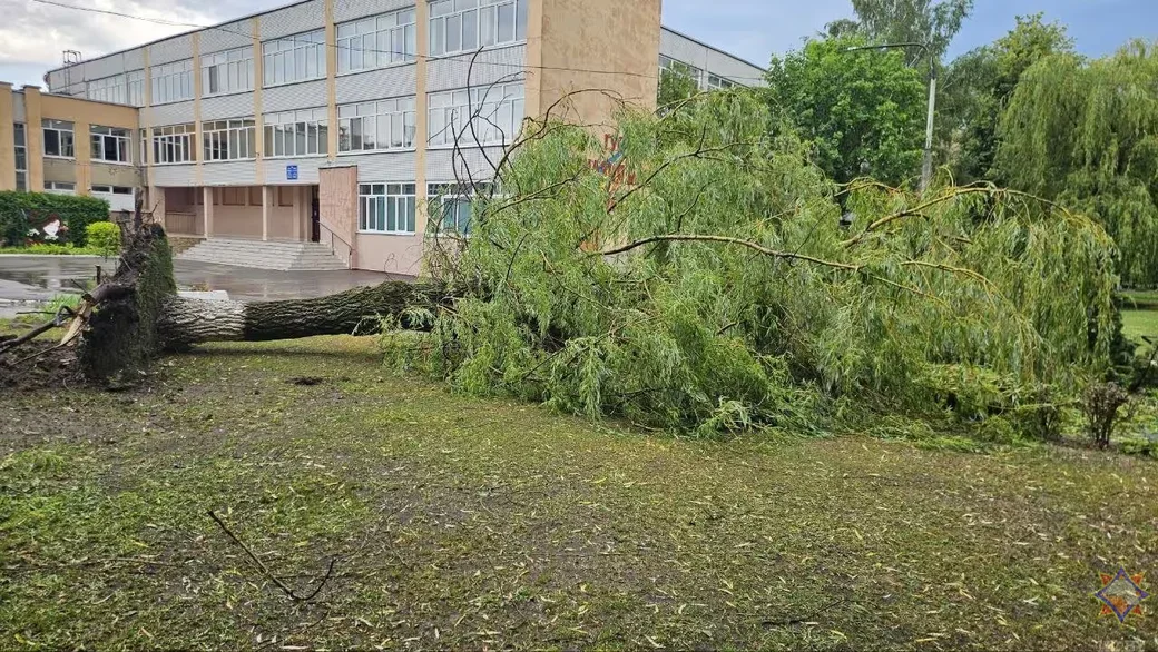 29.06.2026 г. Последствия верта в Бобруйске и Бобруйском районе. Фото: Могилевское областное УМЧС