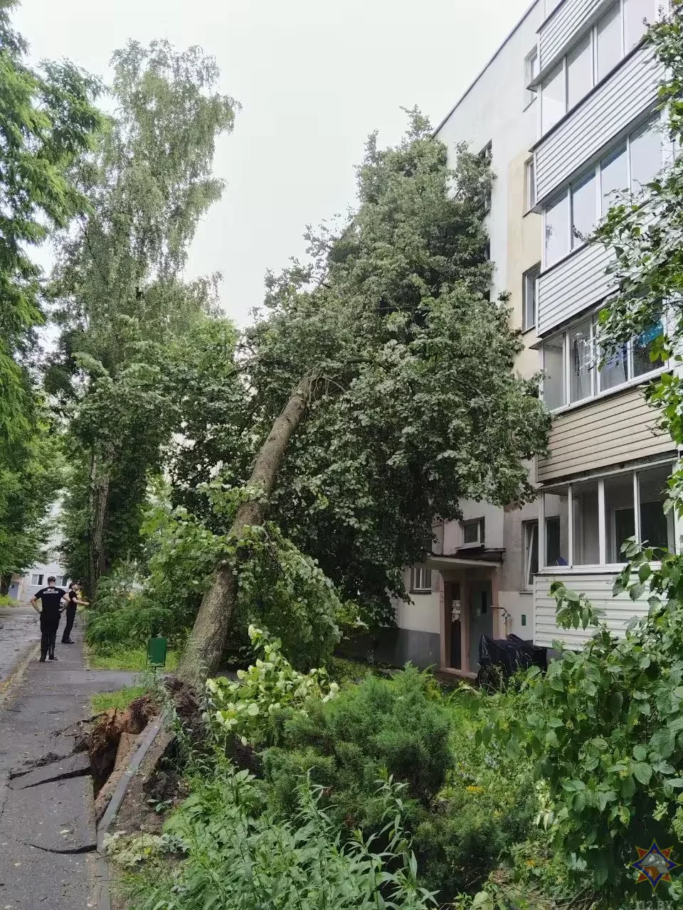 29.06.2026 г. Последствия верта в Бобруйске и Бобруйском районе. Фото: Могилевское областное УМЧС 