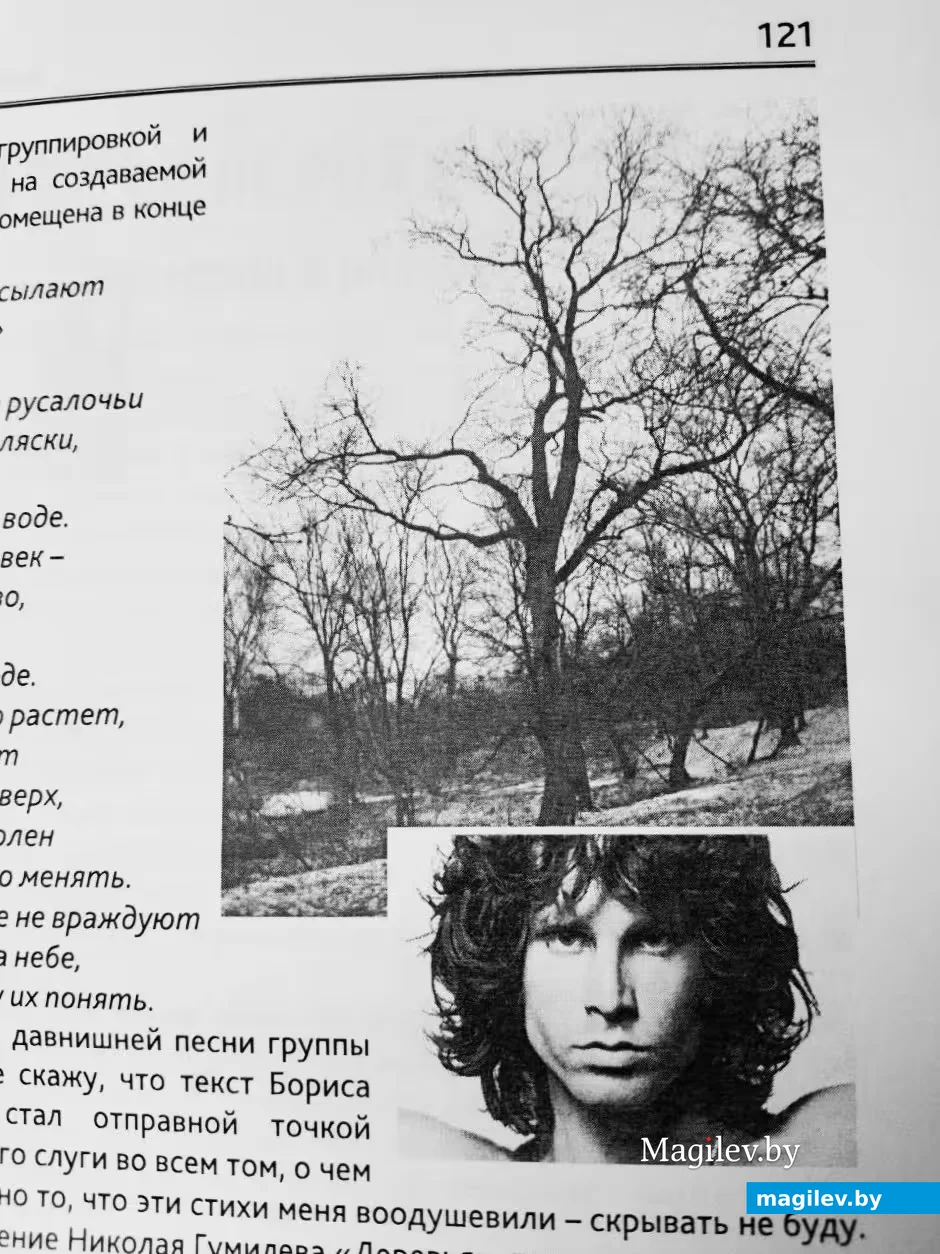2014 год, Могилев. Ныне спиленное дерево Джима Моррисона на Дубровенском склоне. Фото страницы