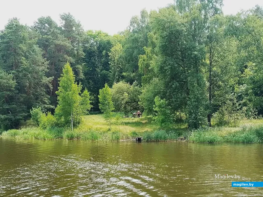   02.07.2026. Могилев, Печерское озеро и его ближайшие окрестности.