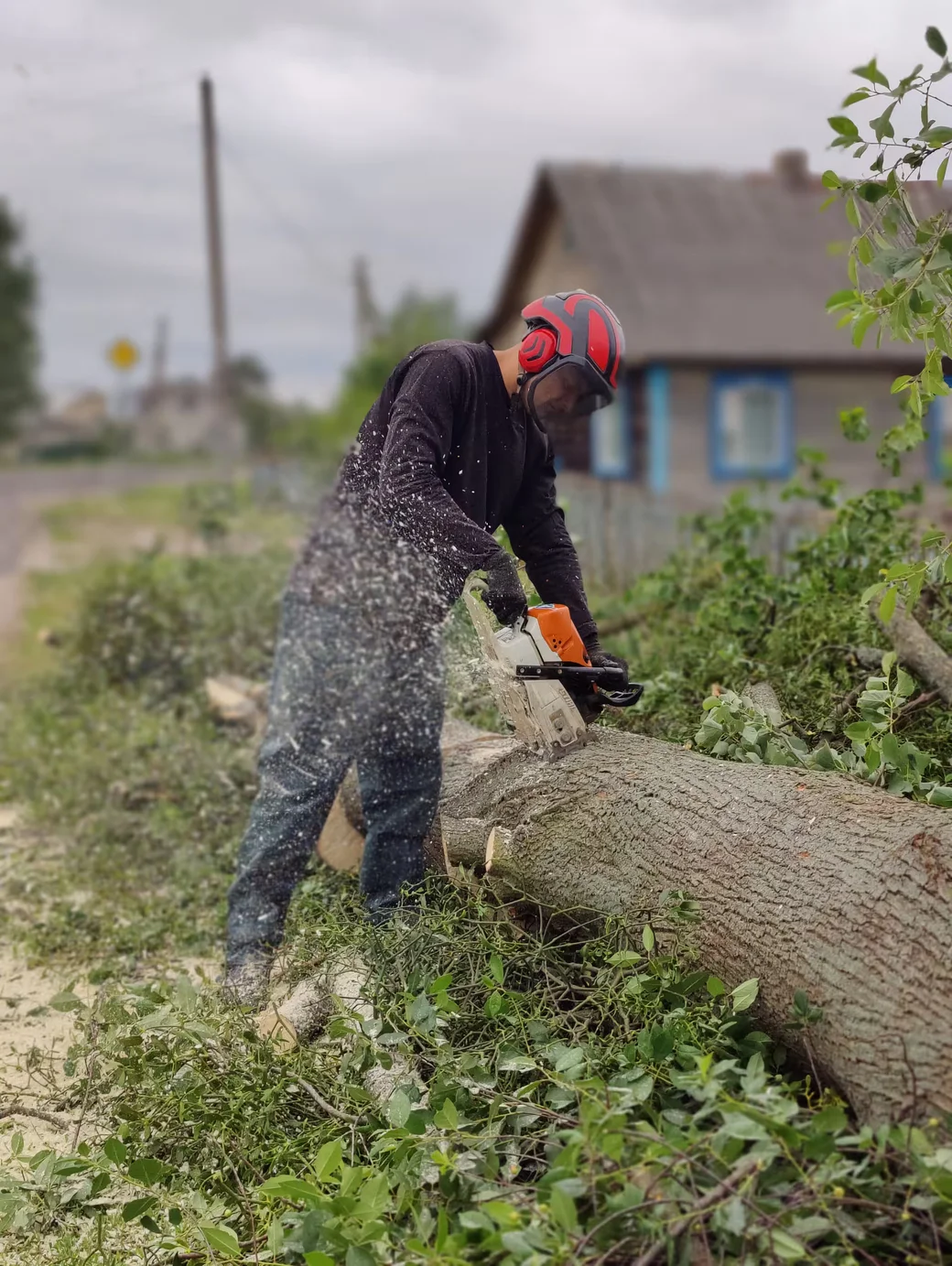 Бобруйск. Арборист Ярослава Мильто. за работой.