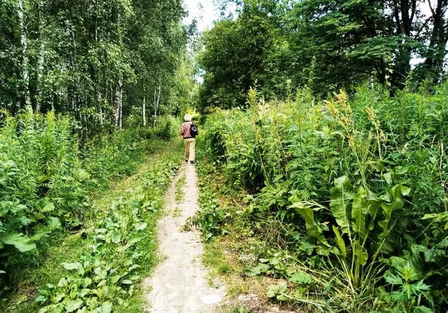 Окрестности Могилева: дожди никогда не бывают бесконечными