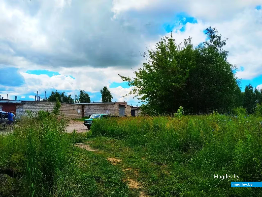  04.07.2026, окрестности Могилева.  Погода и природа: вечная тема для тех, кто собрался на прогулку.