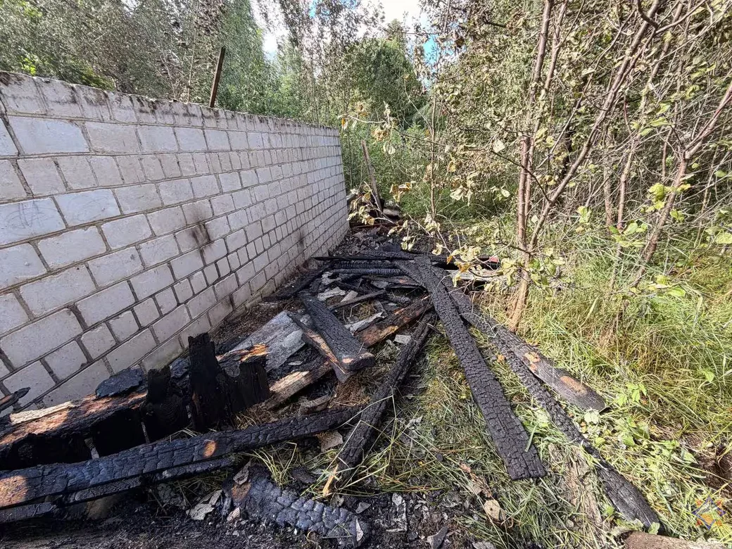 8.07.2026 г. Кличевский район, д. Дуброва. Фото: Могилевское областное УМЧС