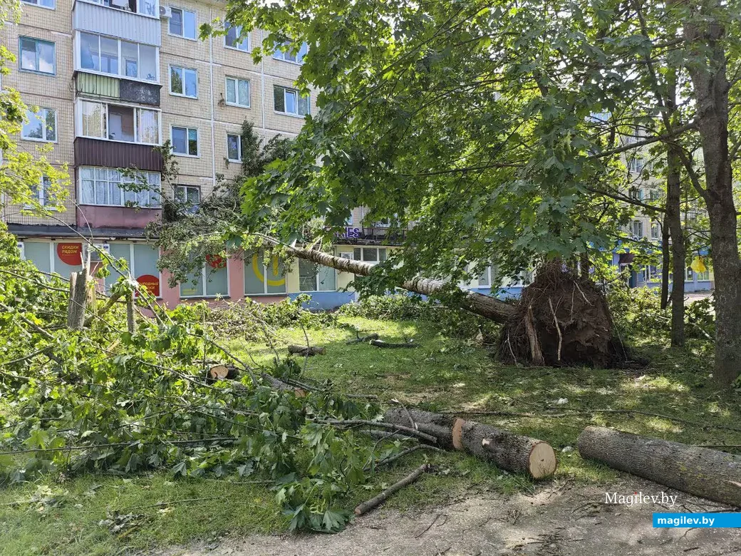 10 июля 2025 года. Могилев.