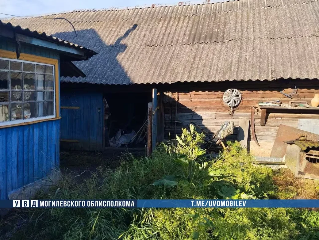 Водитель сельхозорганизации сливал солярку с рабочей техники. Фото: УВД Могилевского