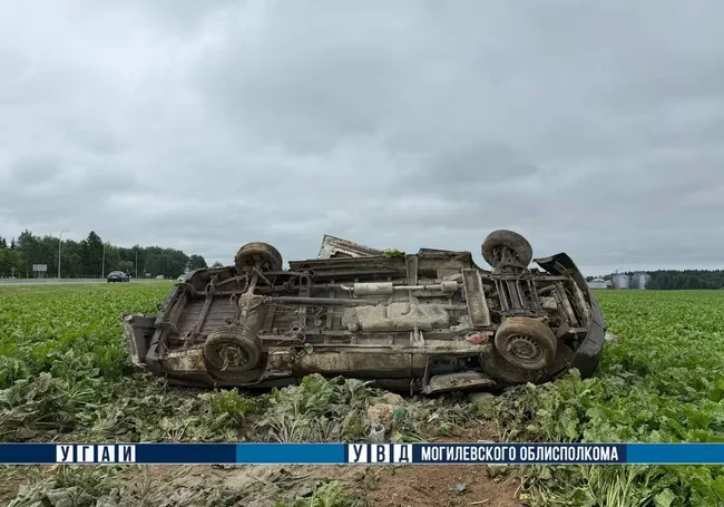 Под Могилевом грузовой Mercedes съехал в кювет и опрокинулся. Водитель в больнице