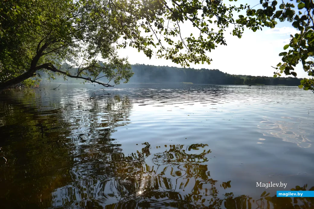 Рогачевский район, Крушиновское озеро. Фото: Александр Чугуев.